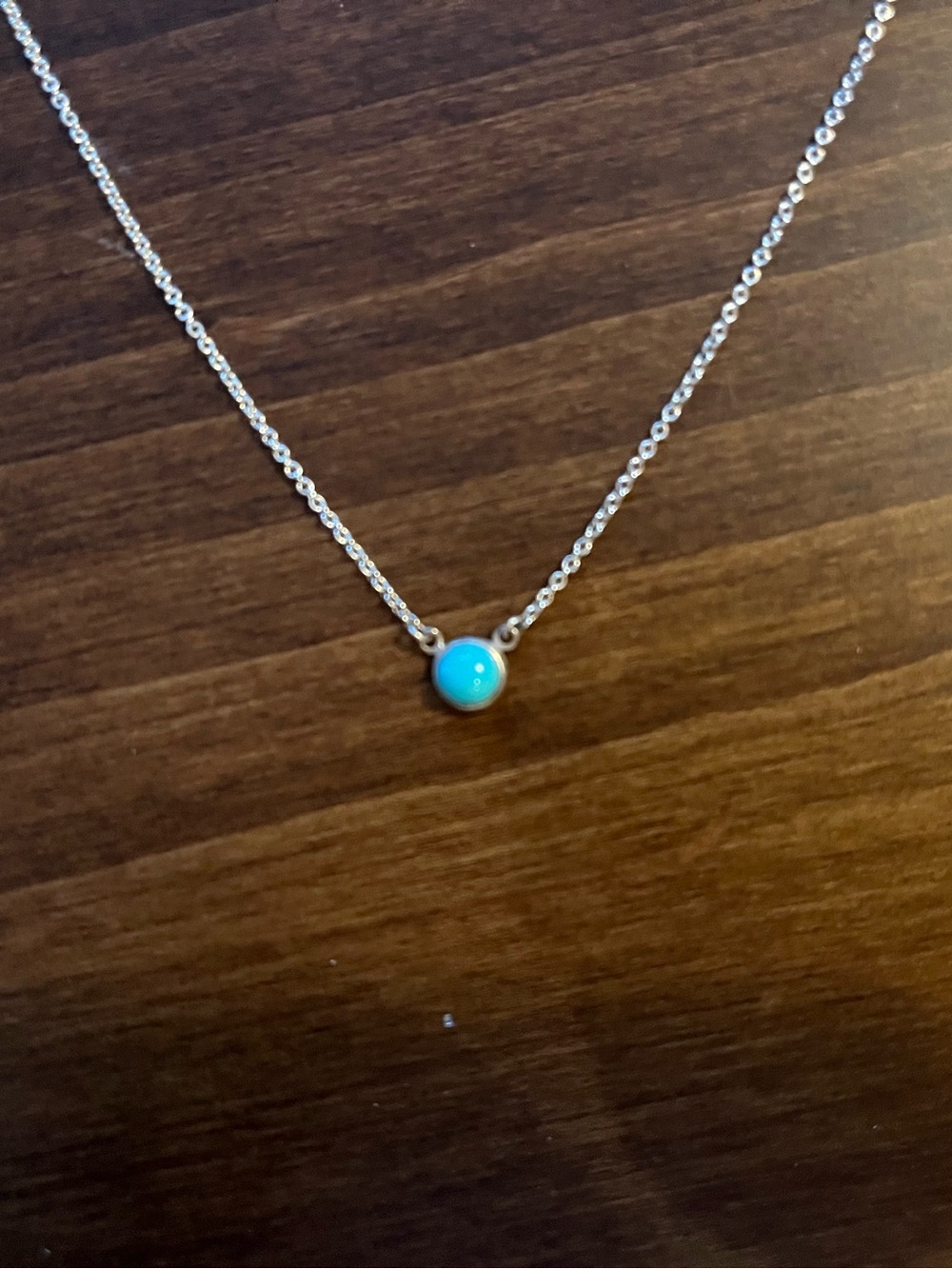 Tiffany & Co. Turquoise Necklace - Silver